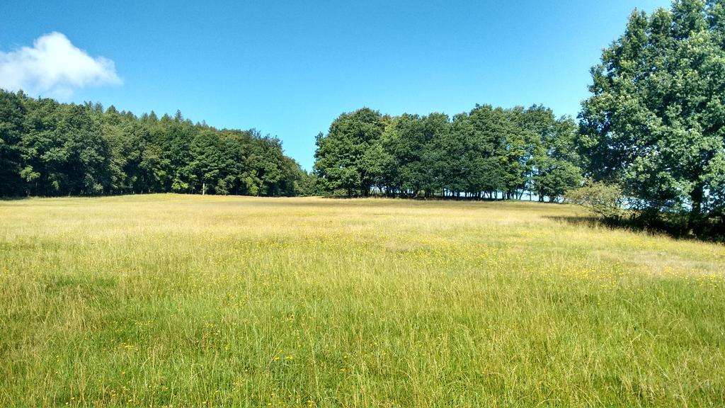 Apartment Haus Sembachtal Winterstein Zewnętrze zdjęcie