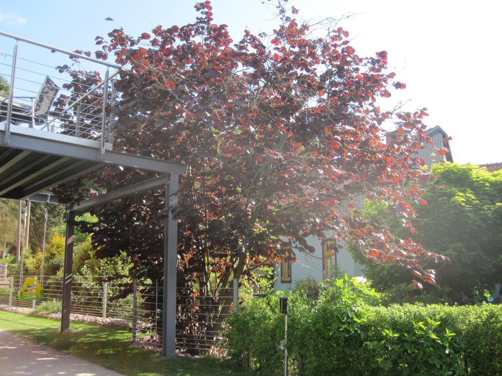 Apartment Haus Sembachtal Winterstein Zewnętrze zdjęcie